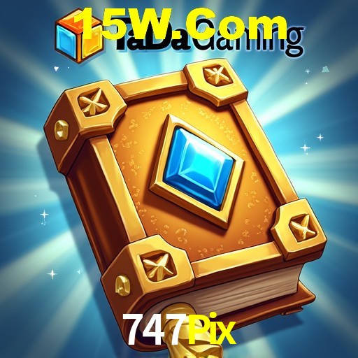 Interface Premium 747Pix